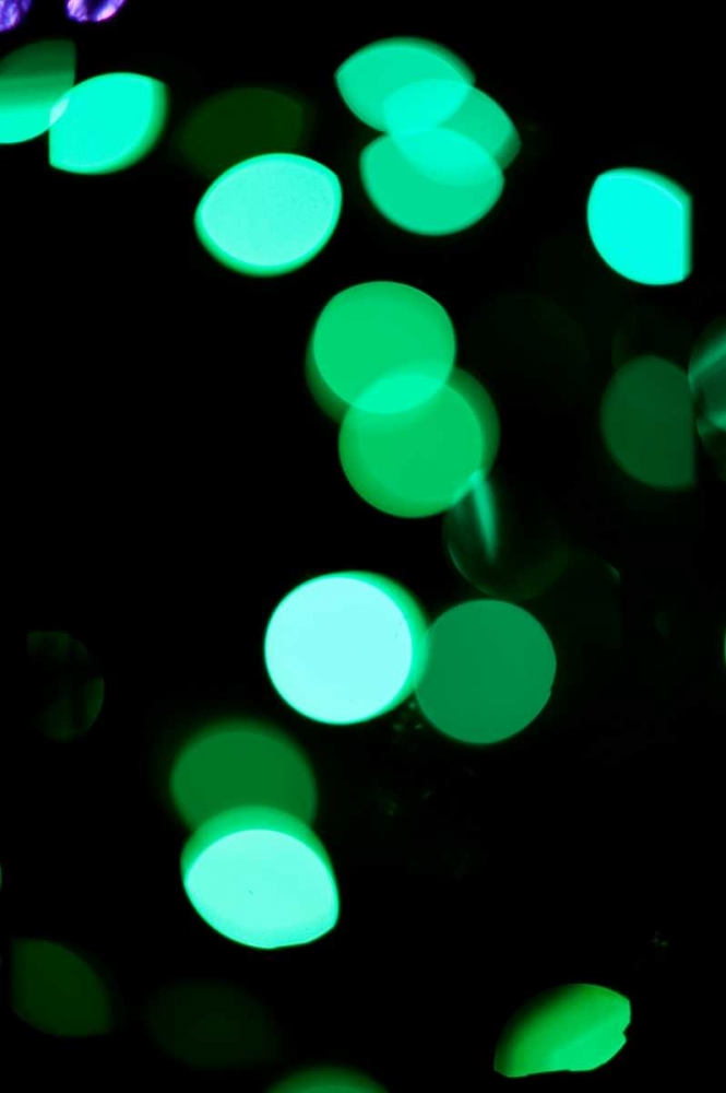 Wall Art Painting id:1464, Name: Green Bokeh, Artist: Berzel, Erin