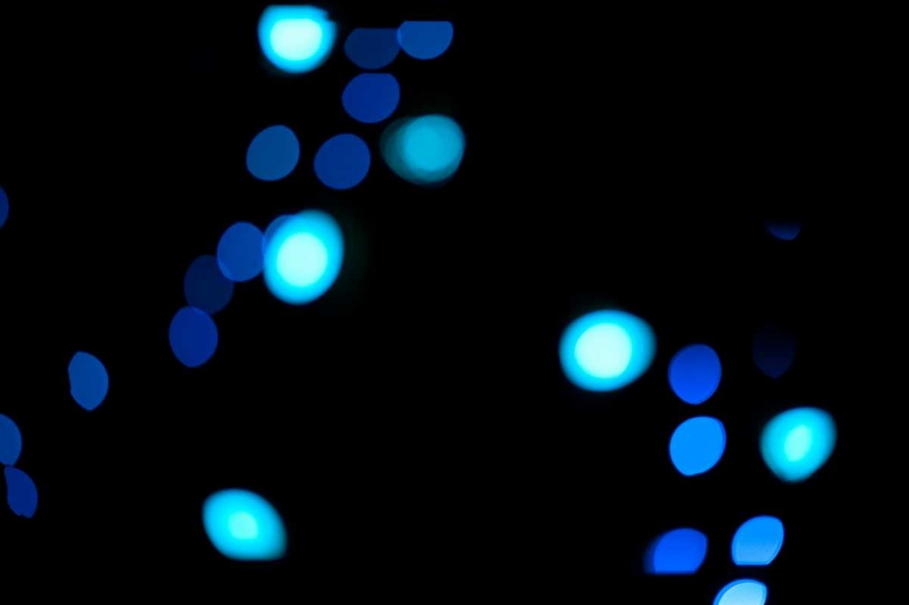 Wall Art Painting id:1467, Name: Blue Bokeh III, Artist: Berzel, Erin