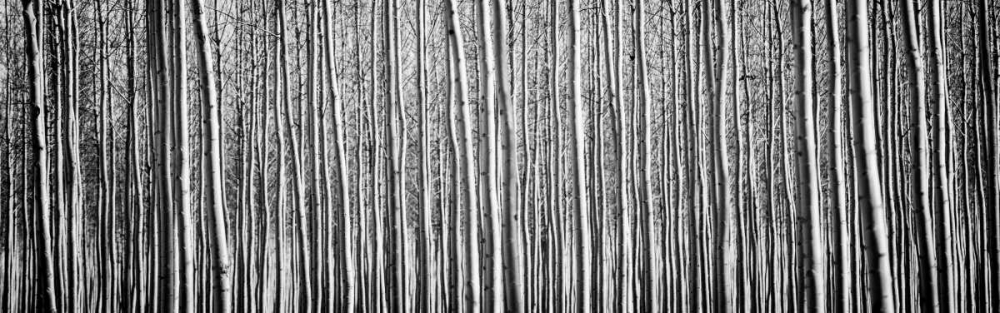 Similar wall art painting: 29189