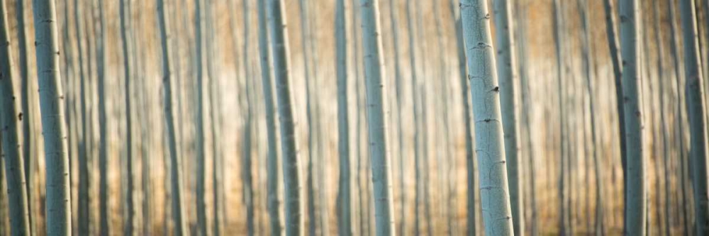 Similar wall art painting: 29190