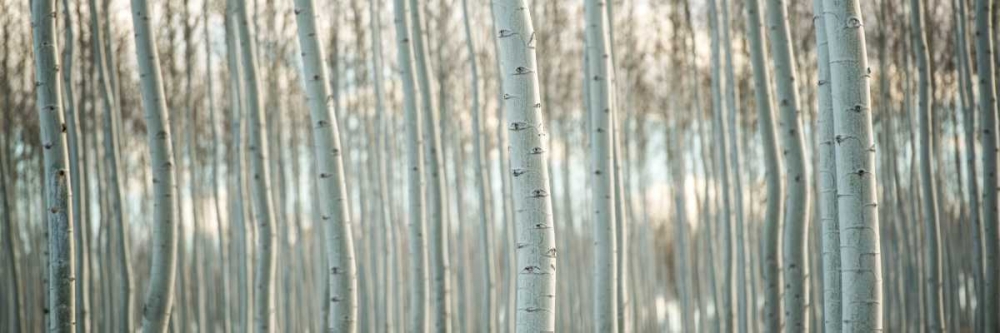 Similar wall art painting: 29192