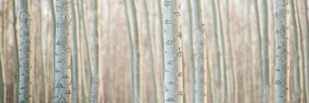 Similar wall art painting: 29193