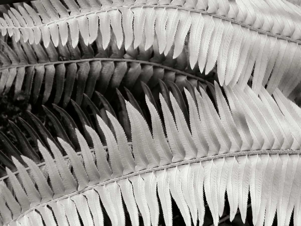 Similar wall art painting: 82864