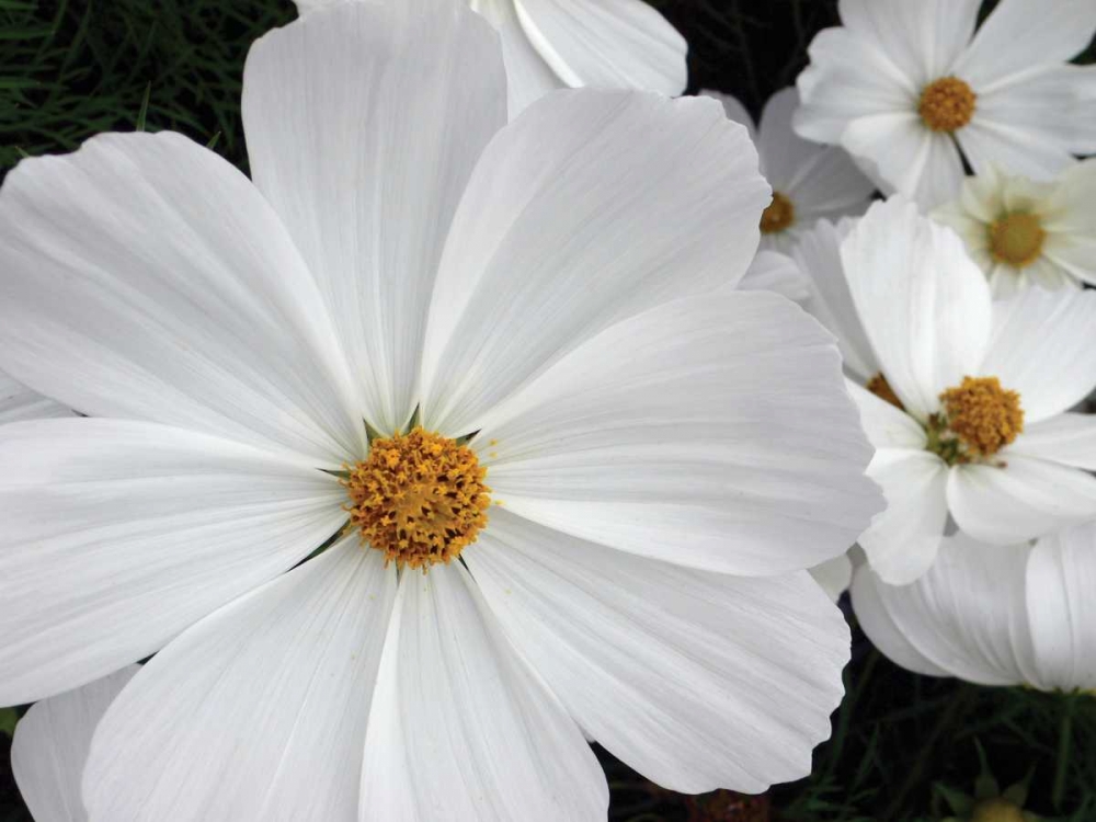 Similar wall art painting: 82867