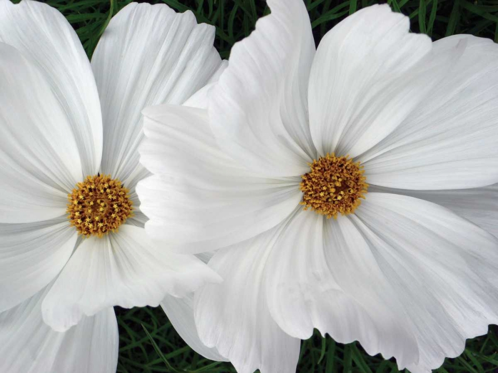 Similar wall art painting: 82868