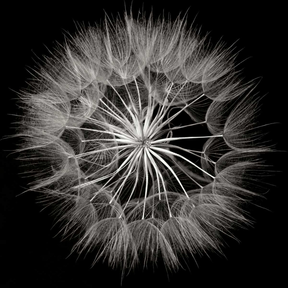 Similar wall art painting: 82889