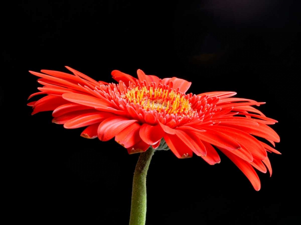 Similar wall art painting: 82922