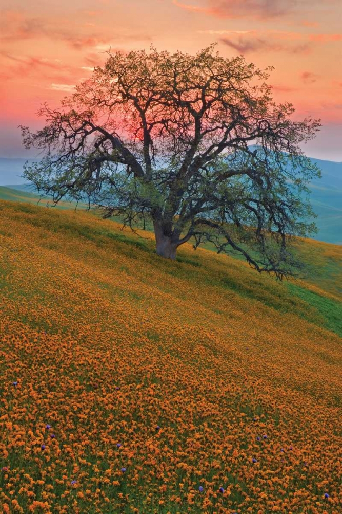 Similar wall art painting: 9464