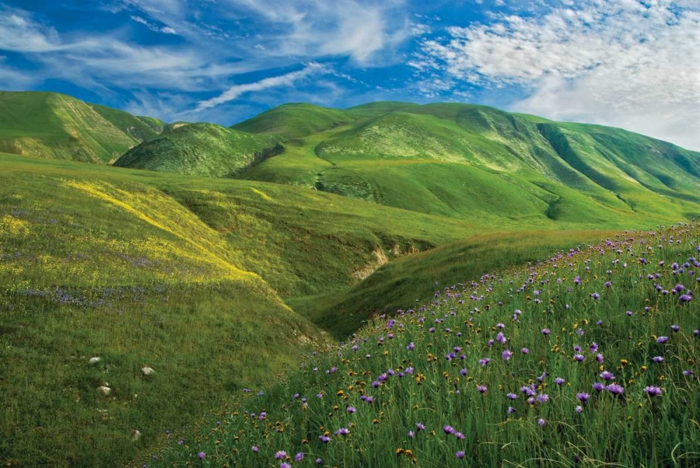 Similar wall art painting: 9466