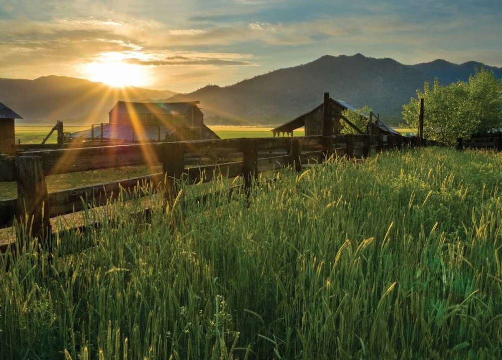 Similar wall art painting: 9472