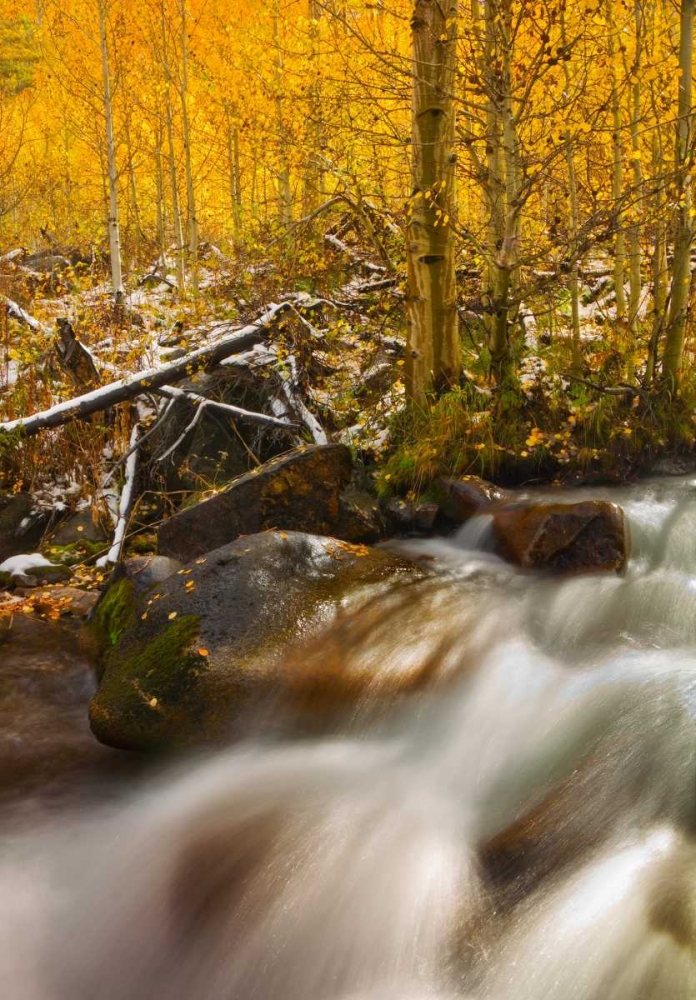 Similar wall art painting: 14308