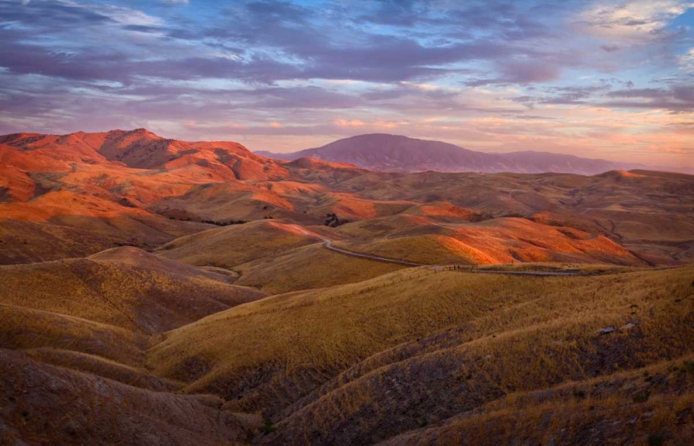 Similar wall art painting: 14313