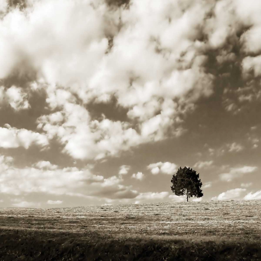 Similar wall art painting: 9495