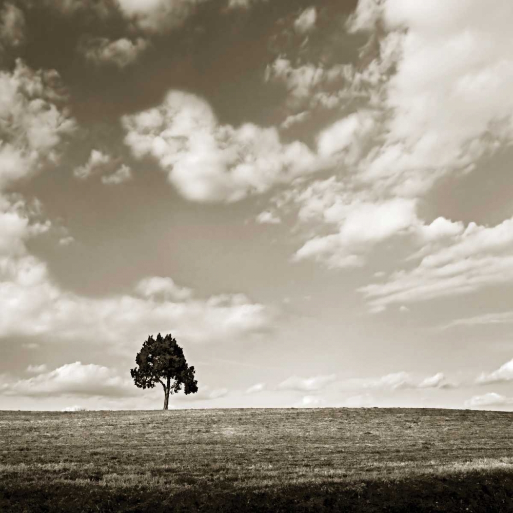 Similar wall art painting: 9496