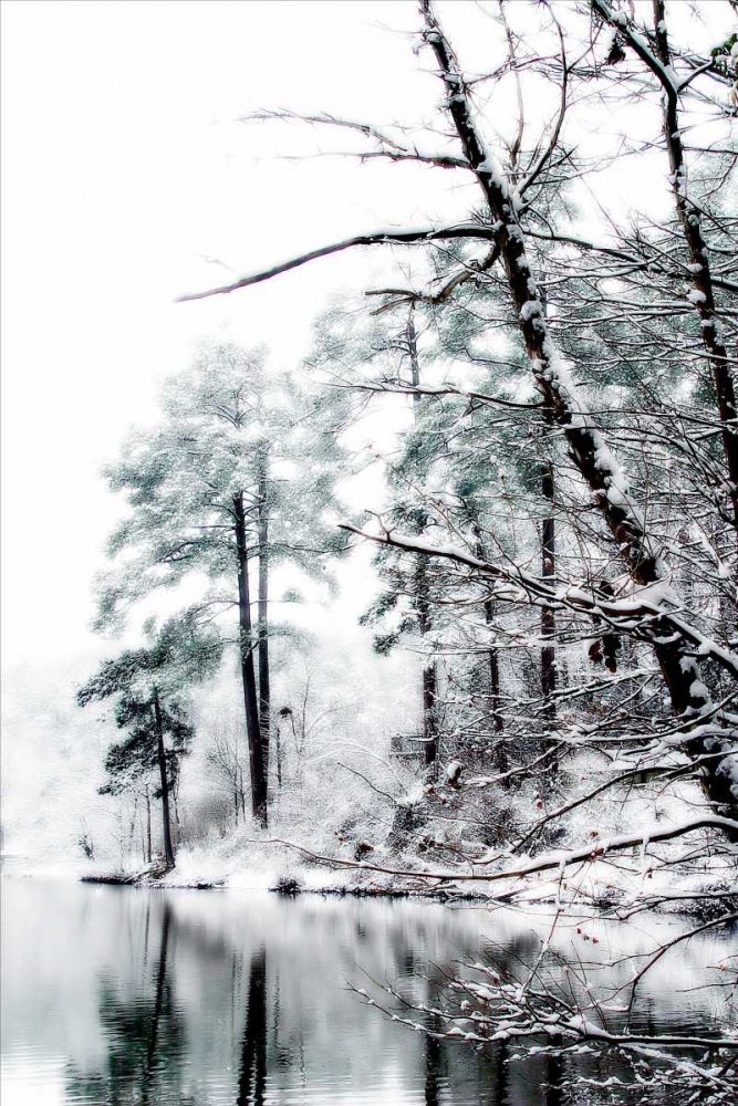 Wall Art Painting id:723, Name: Shelly Lake in Winter I, Artist: Hausenflock, Alan
