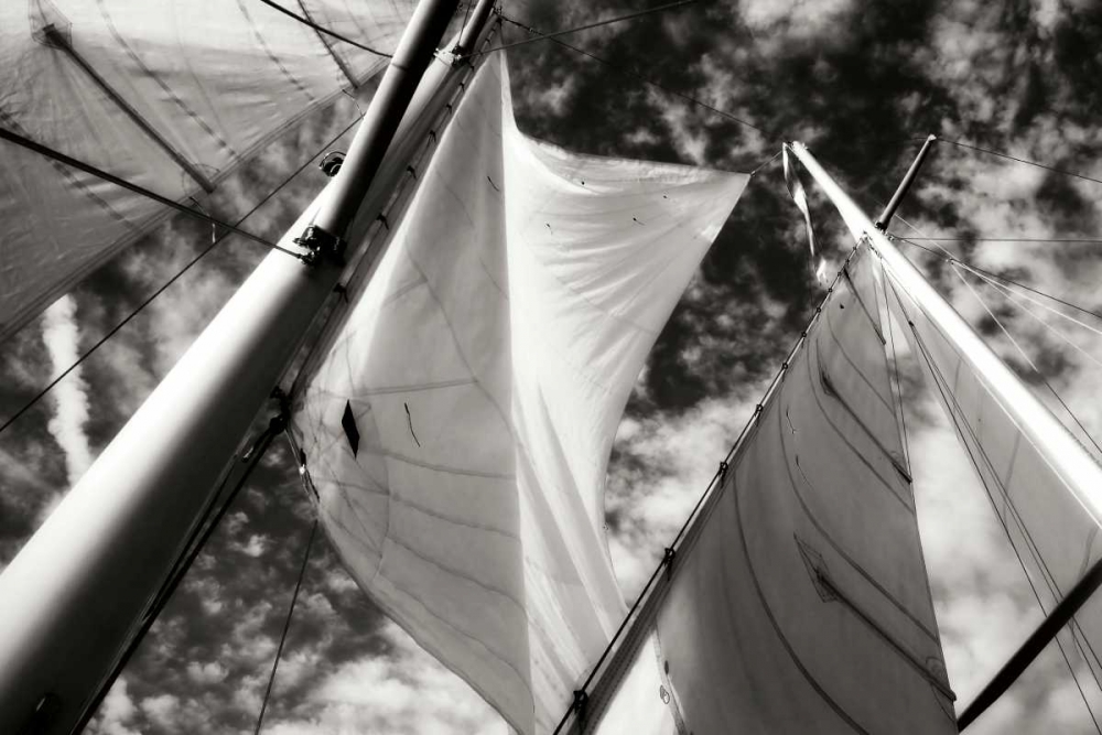 Similar wall art painting: 14331