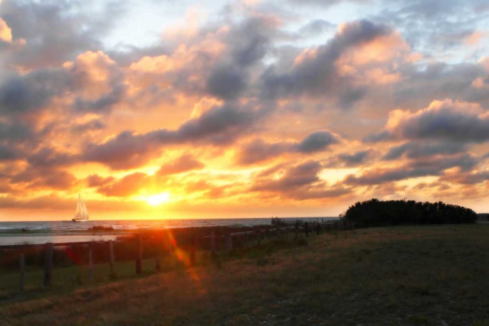 Similar wall art painting: 14357