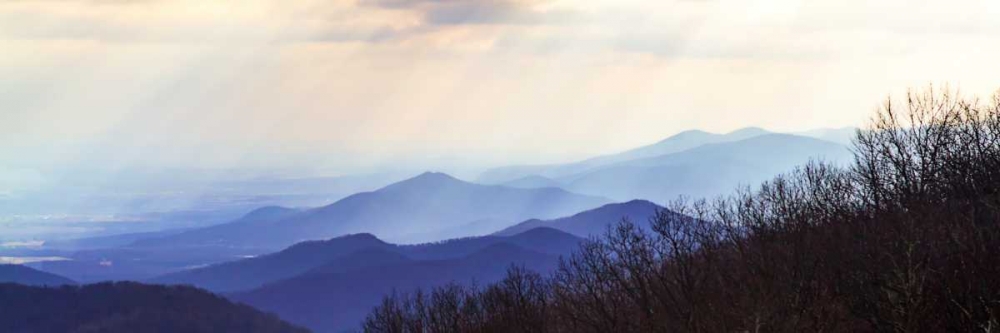 Similar wall art painting: 14452