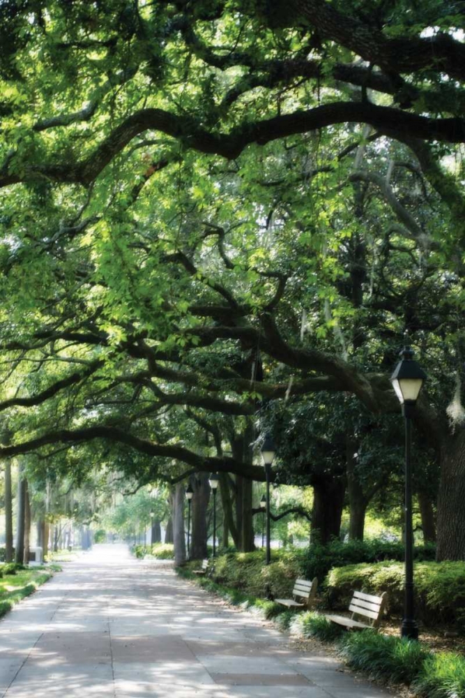 Wall Art Painting id:808, Name: Savannah Sidewalk I, Artist: Hausenflock, Alan