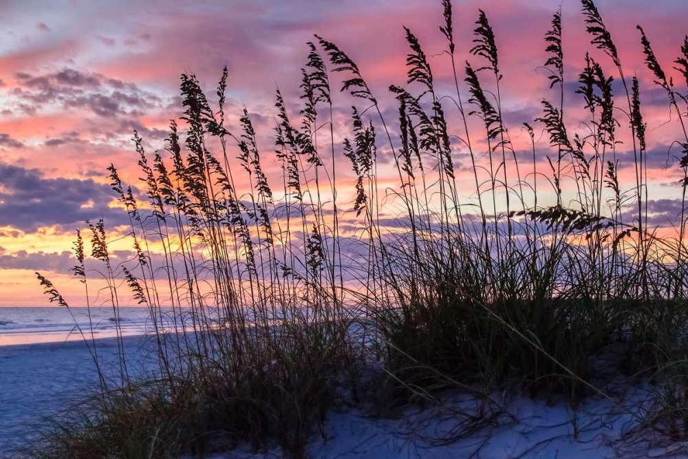 Similar wall art painting: 145336