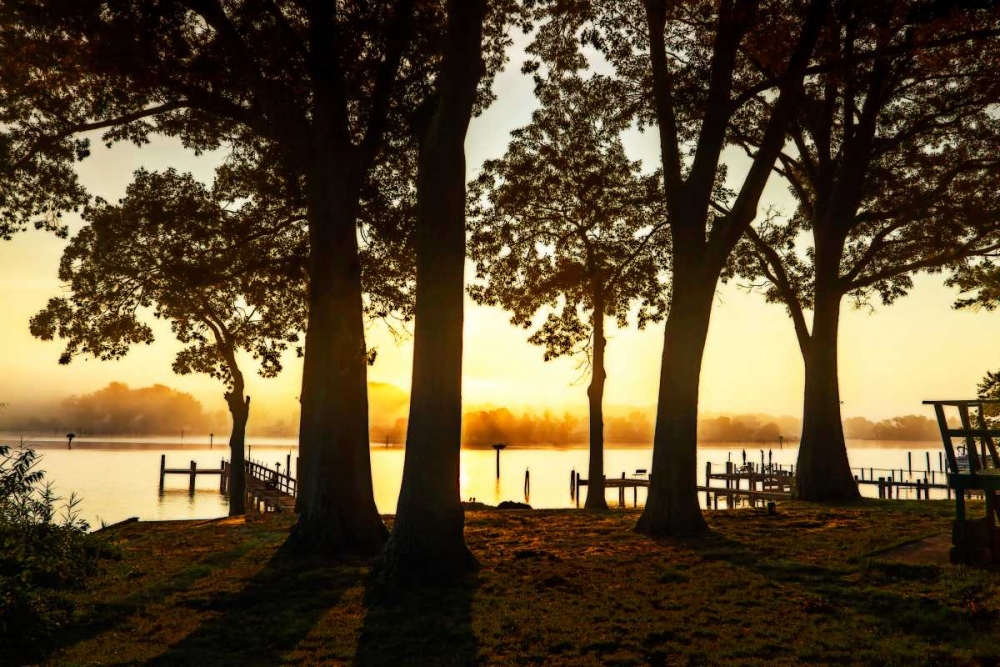 Similar wall art painting: 145362