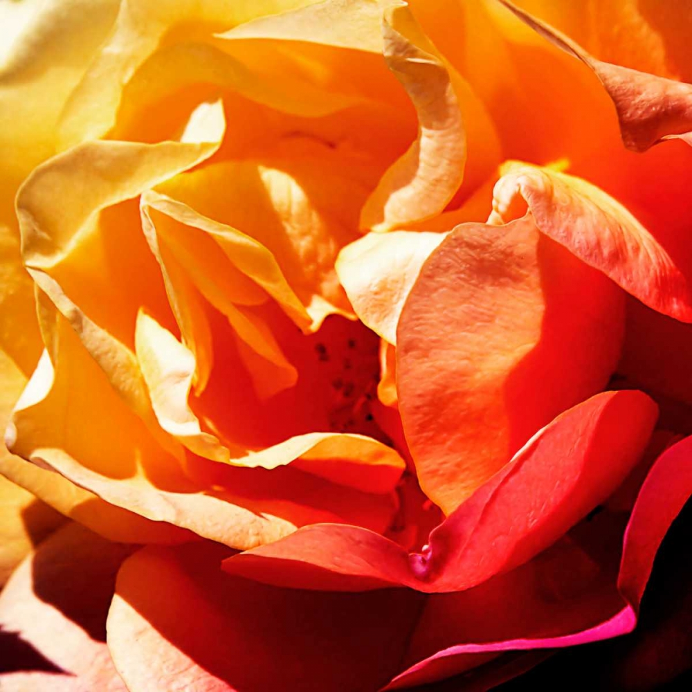 Similar wall art painting: 145620