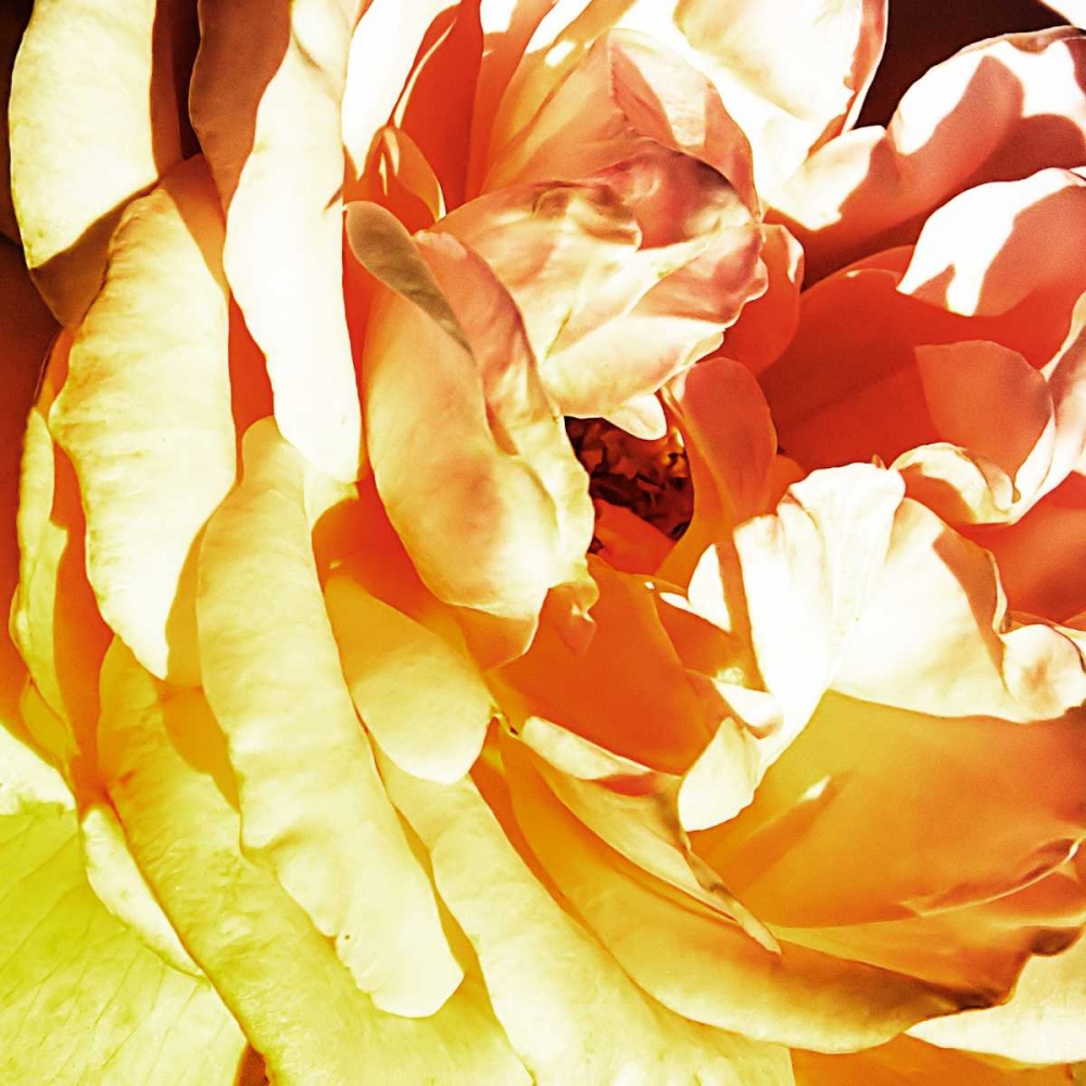 Similar wall art painting: 145621