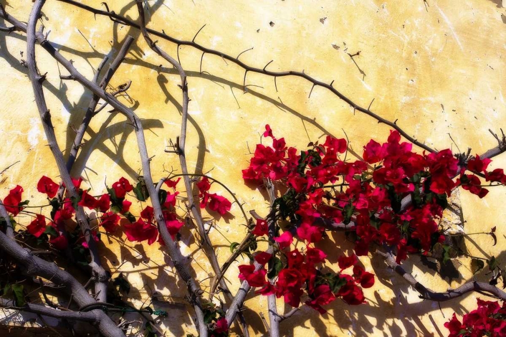 Similar wall art painting: 896