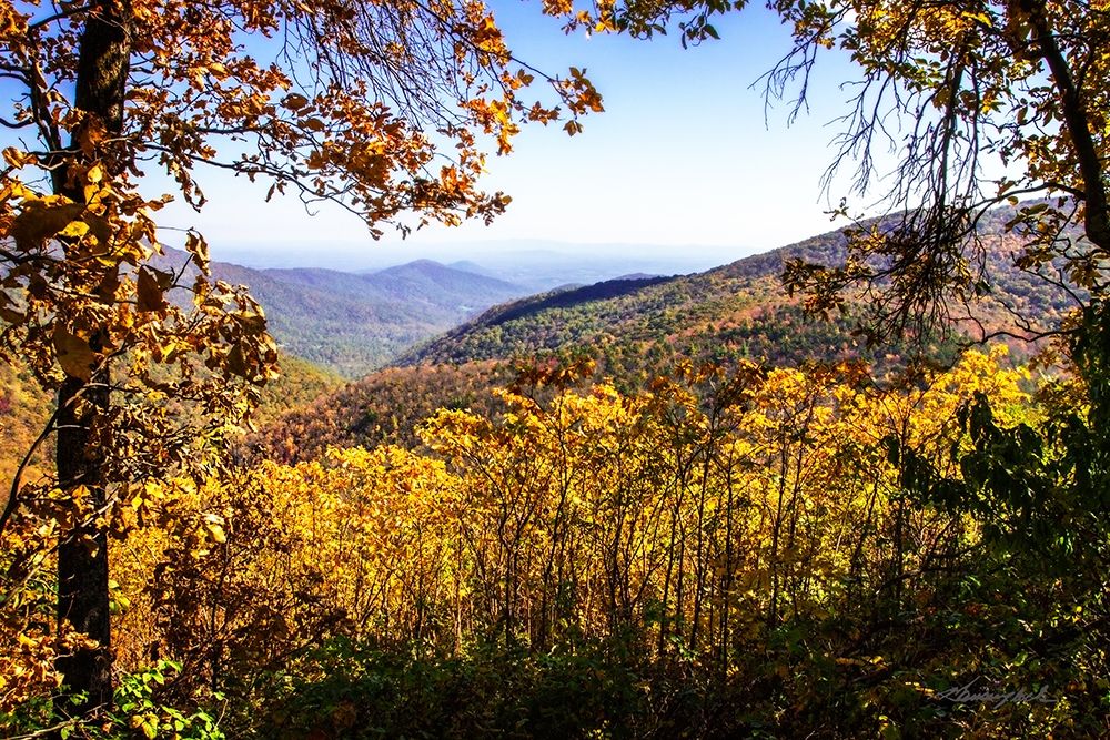 Wall Art Painting id:406936, Name: Blue Ridge Autumn, Artist: Hausenflock, Alan