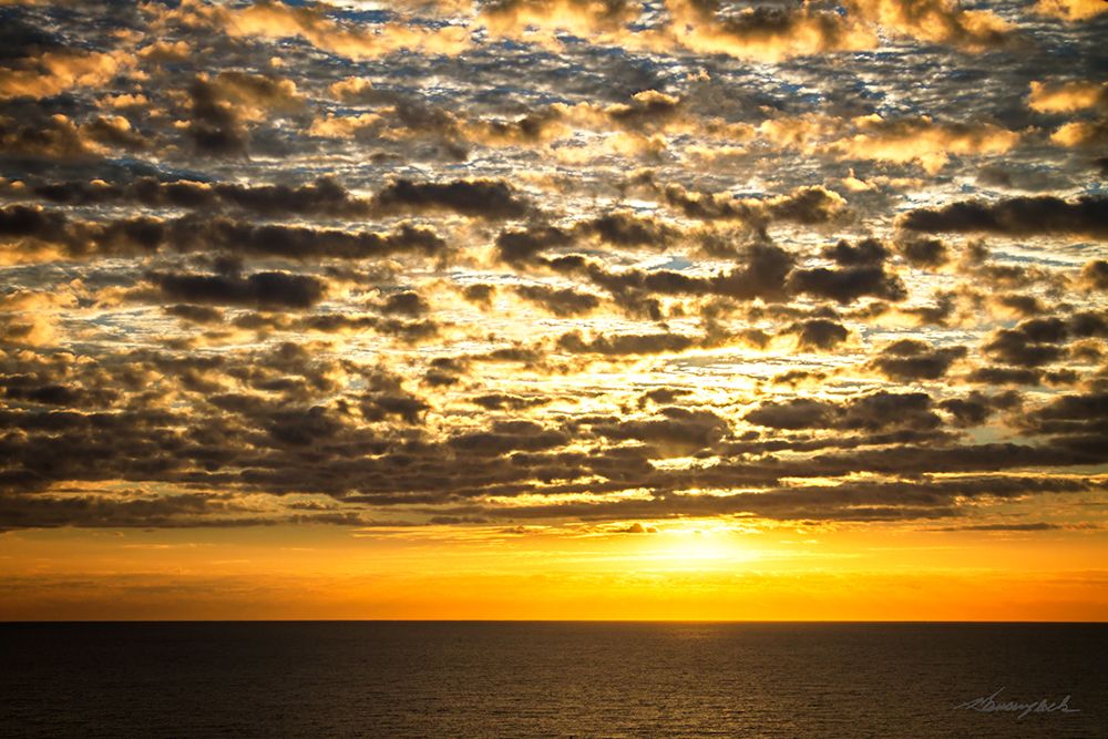 Similar wall art painting: 495684