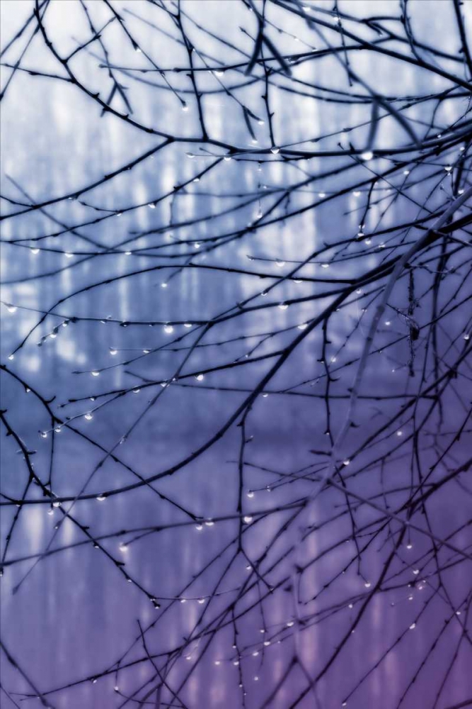 Similar wall art painting: 1710