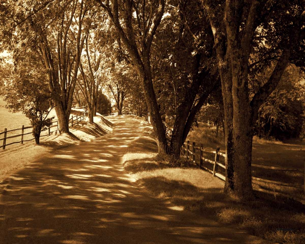 Similar wall art painting: 1726