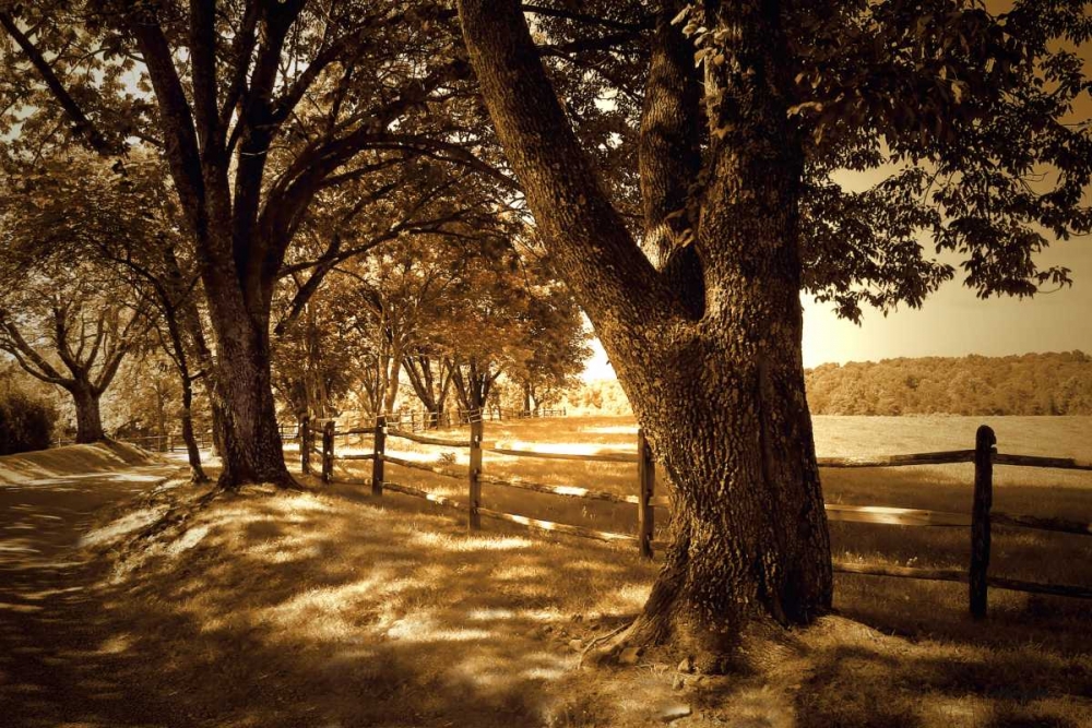 Similar wall art painting: 1727