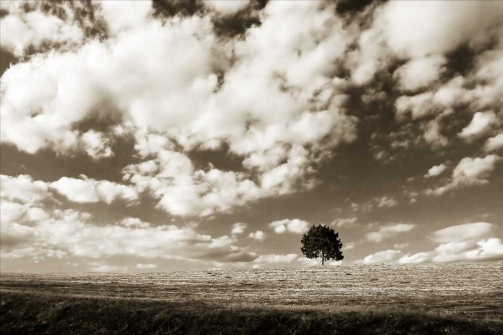 Similar wall art painting: 1844