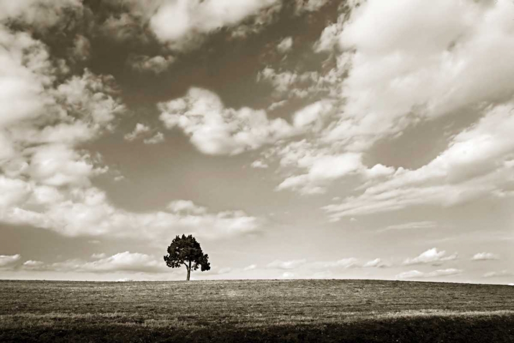 Similar wall art painting: 1878