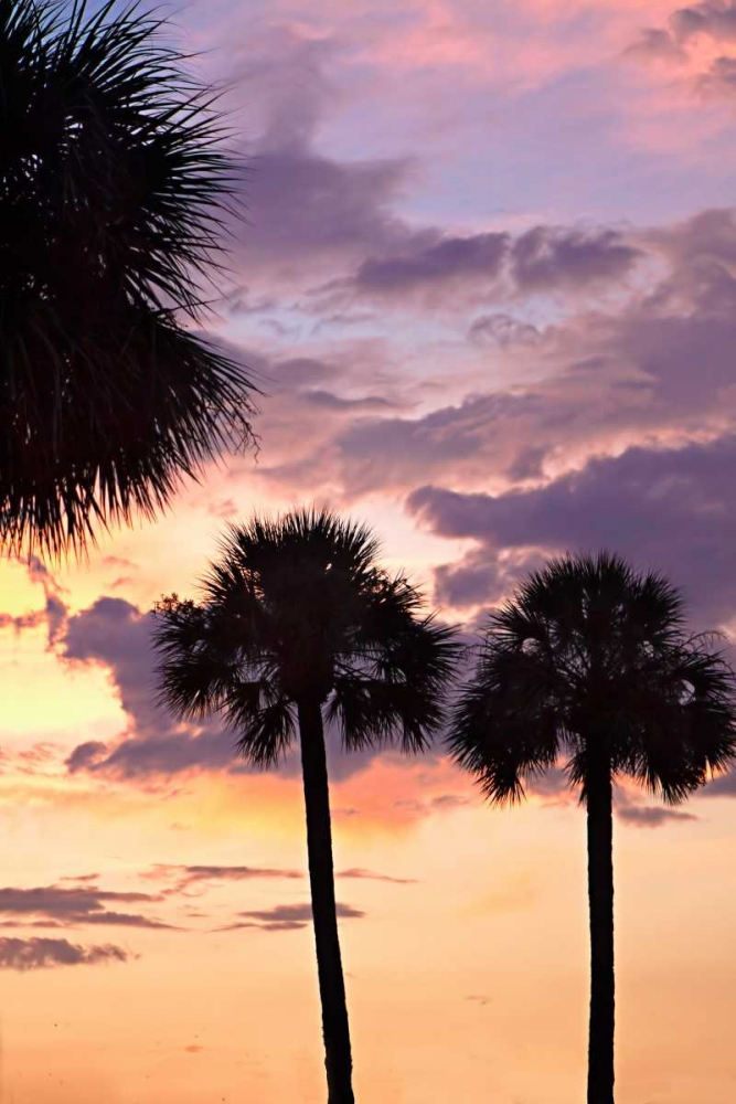 Similar wall art painting: 928