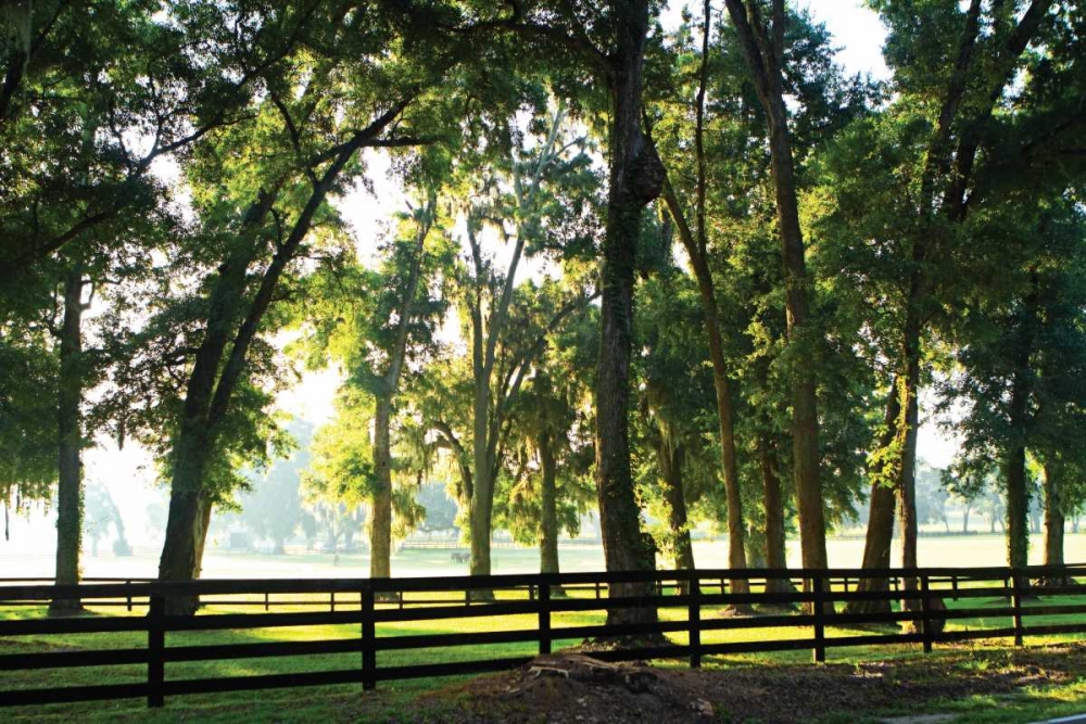 Similar wall art painting: 942