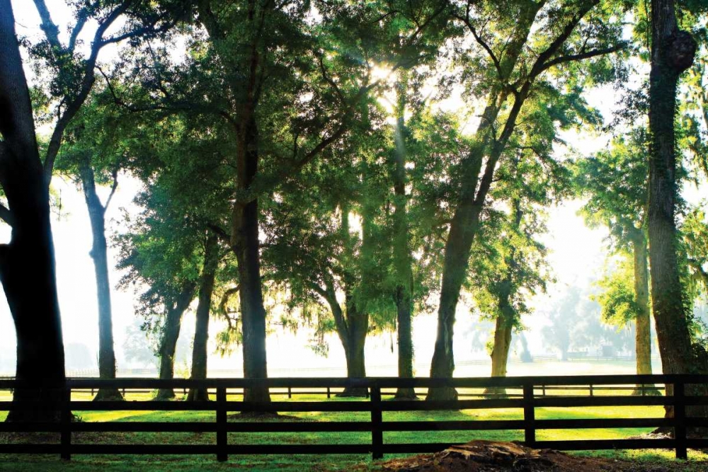 Similar wall art painting: 943