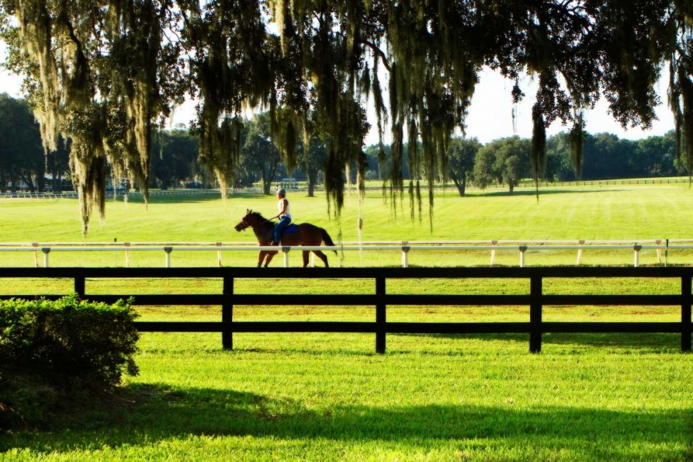 Similar wall art painting: 953