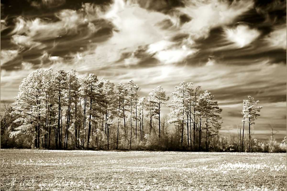 Similar wall art painting: 1007