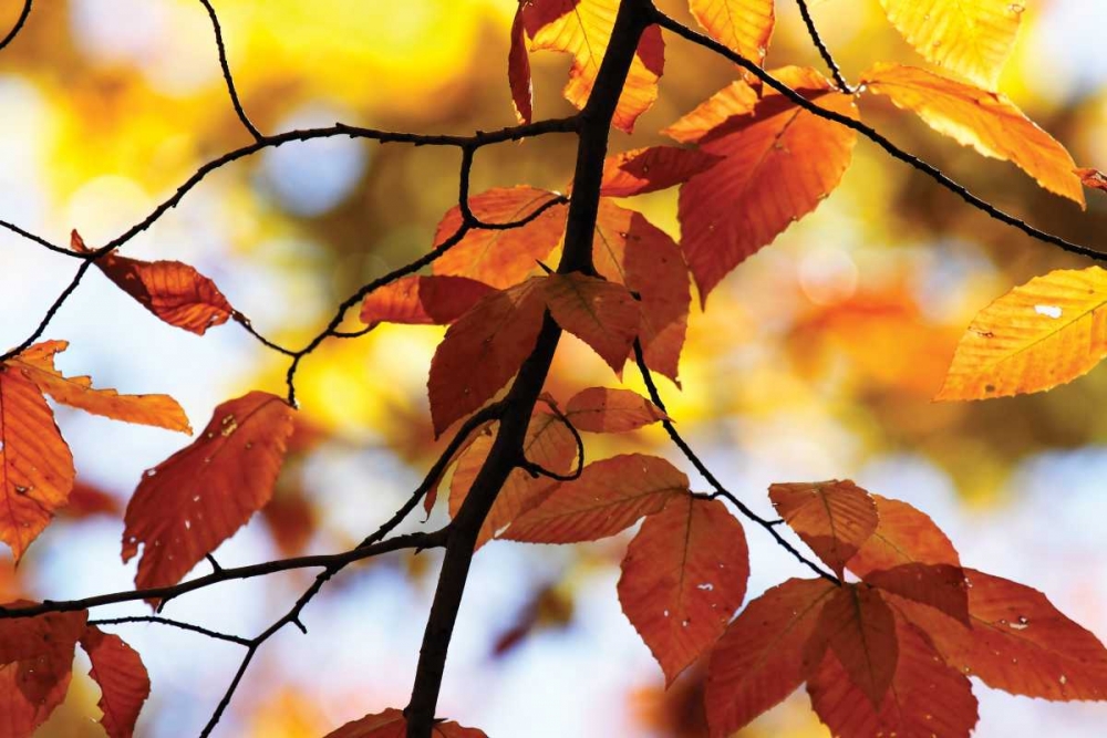 Similar wall art painting: 1213