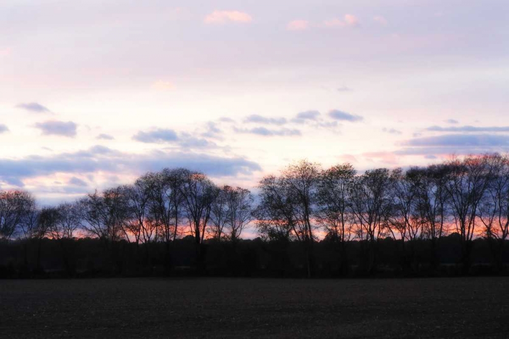 Similar wall art painting: 1250