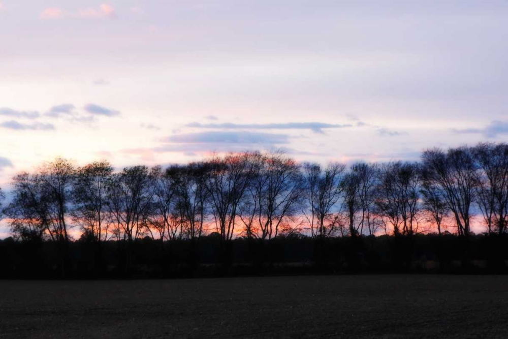 Similar wall art painting: 1251