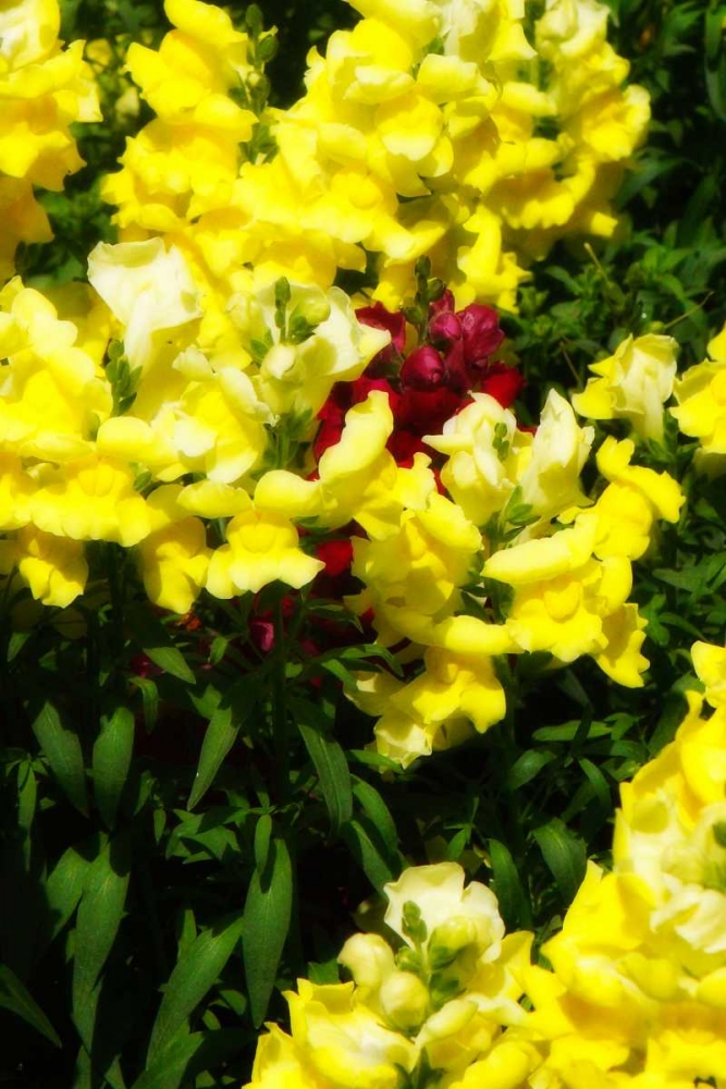 Similar wall art painting: 1265