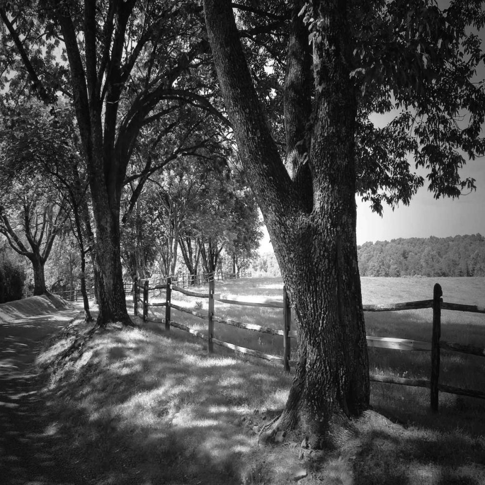 Similar wall art painting: 1278