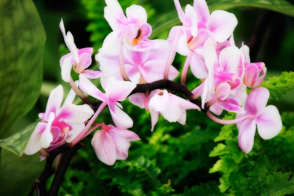 Similar wall art painting: 1330