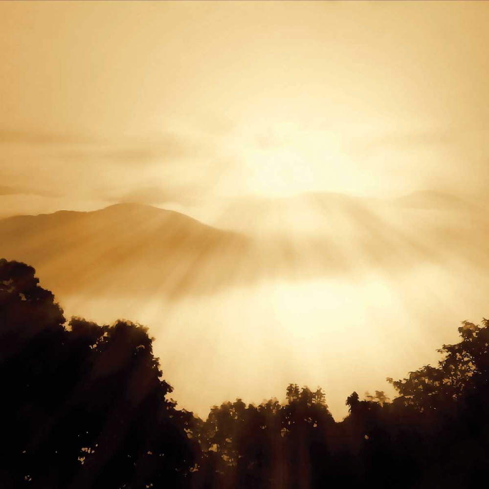 Similar wall art painting: 251