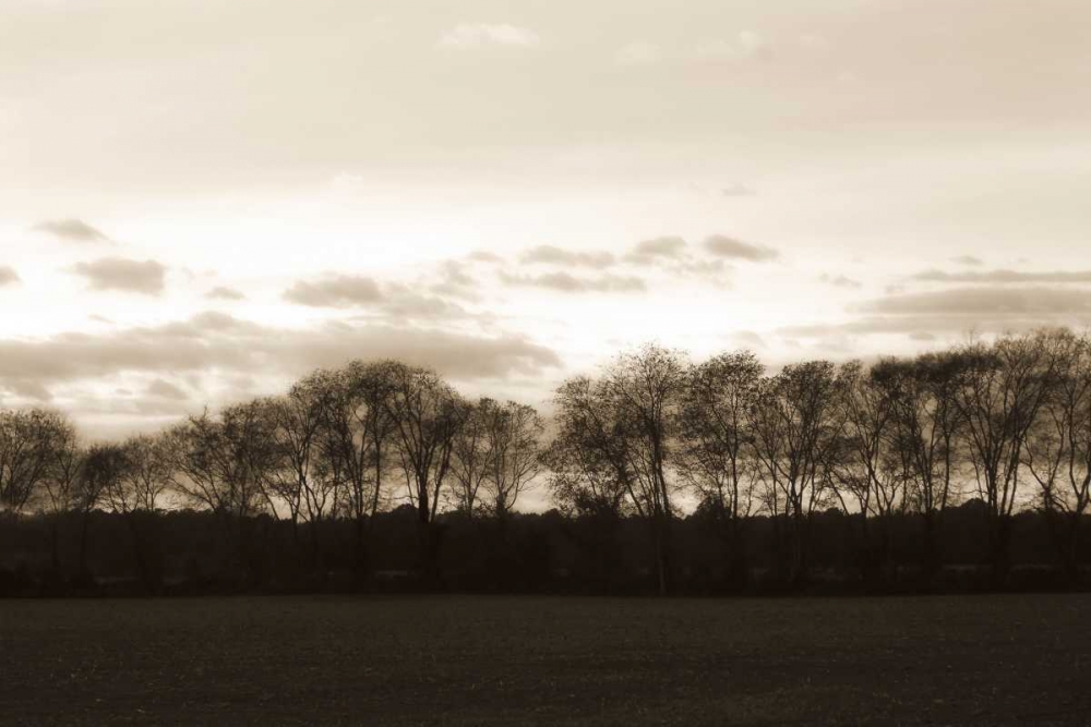 Similar wall art painting: 265