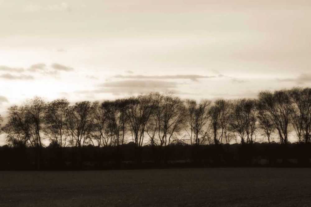 Similar wall art painting: 266