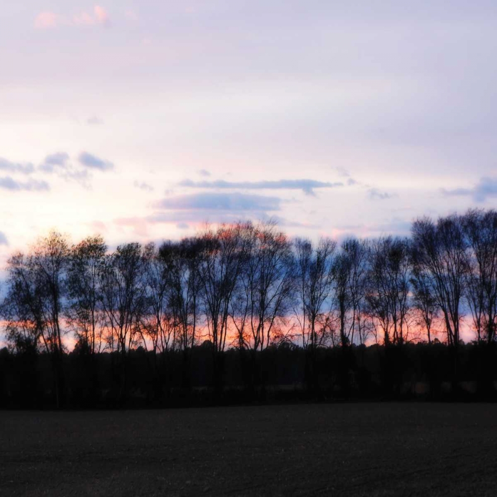 Similar wall art painting: 491